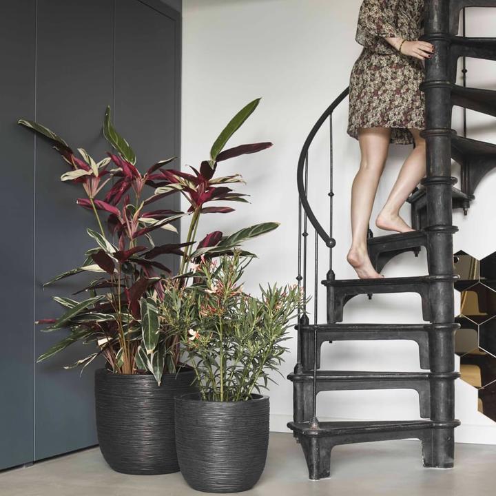 Produktbild Capi Tutch Pot (35 x 34 cm)