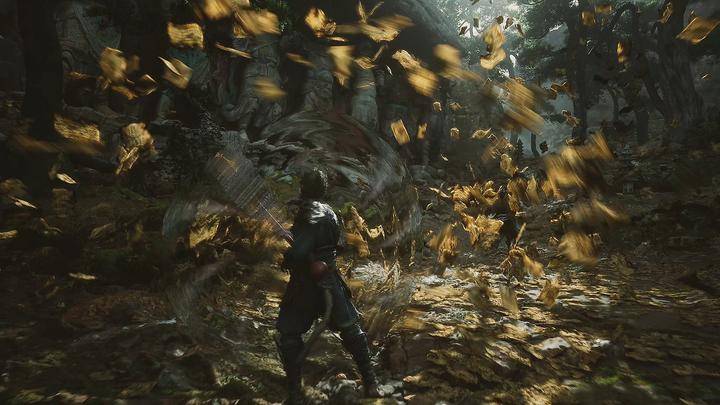 Productafbeelding 2K Games Black Myth: Wukong (PS5, EN)