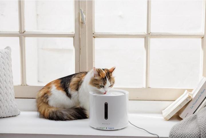 Produktbild Petkit Eversweet Solo 2 (200 cl)