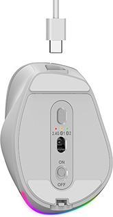 Actual product image Genius Ergo 9000S Pro Wireless Bluetooth Mauskiefernholz (Wireless)