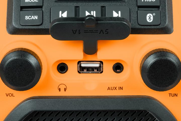 Actual product image Thomson Bouwradio + Speaker (FM, PLL, Bluetooth)