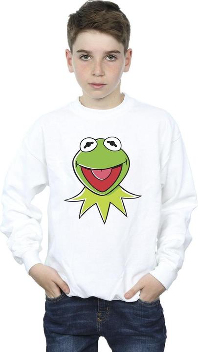 Actual product image Disney Boys Muppets Kermit Head Sweatshirt (116)