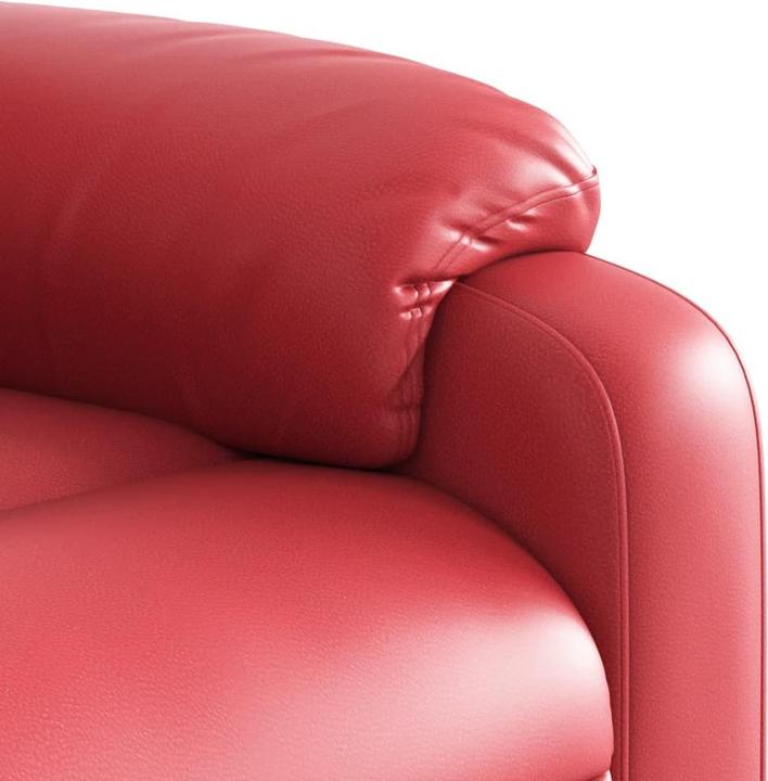 Actual product image vidaXL Festuca novae