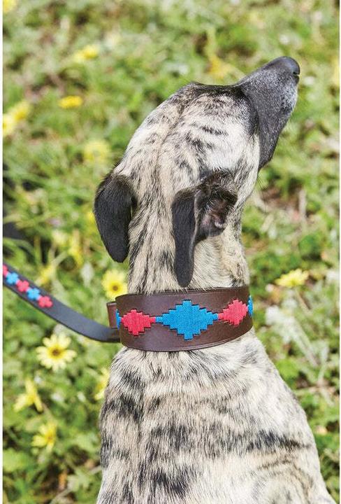 Produktbild Weatherbeeta Lurcher Polo (L, Hund, Hundesport)