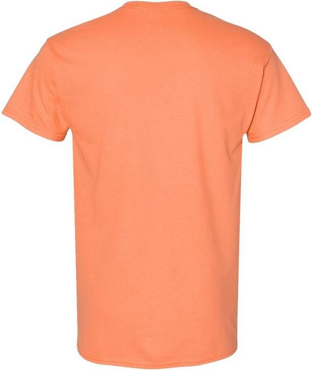 Produktbild Gildan Heavy Cotton TShirt (M)