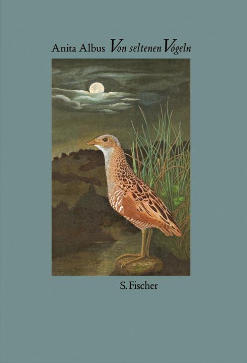 Produktbild Von seltenen Vögeln (Deutsch, Anita Albus, 2005)