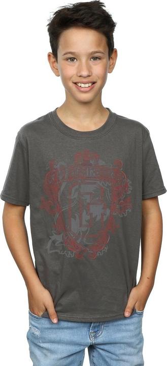 Produktbild Gryffindor Lion Crest TShirt Jungen (128)