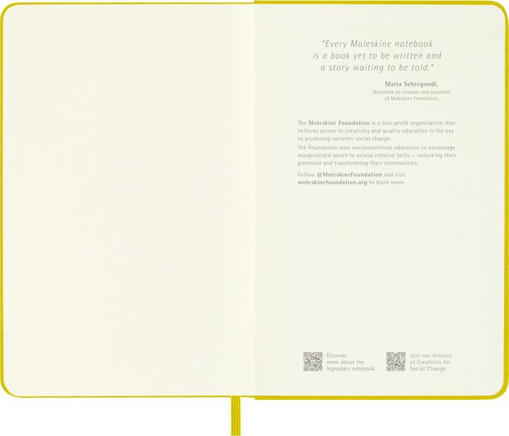 Actual product image Moleskine COLOR - notebooks (9 x 14 cm, Lined)