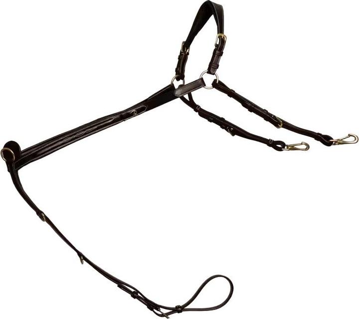 Image du produit Dy'on Collier de chasse pour cheval à pont