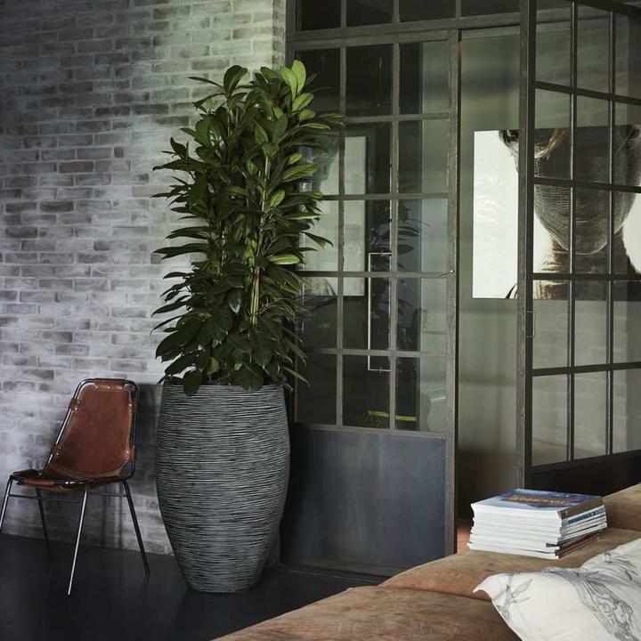 Produktbild Capi Pflanzkübel (45 x 72 cm)