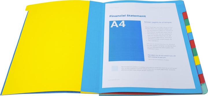 Produktbild Exacompta HARMONIKA - Ordnungsmappen A4 (A4, 1x)