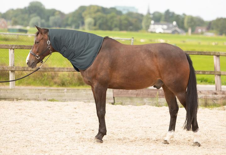 Image du produit Harry's Horse Thor 200 g