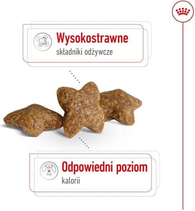 Image du produit Royal Canin Mini Adult (Adulte, 1 pcs, 4000 g)