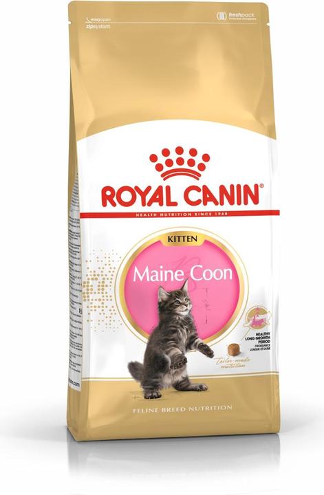 Image du produit Royal Canin Coon du Maine (Junior, 1 pcs, 4000 g)