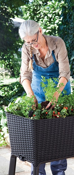 Produktbild Keter Easy Growing