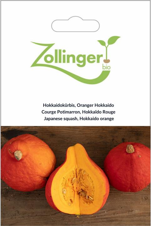 Zollinger Bio Courge, Hokkaido orange (Uchiki Kuri) (Germes)