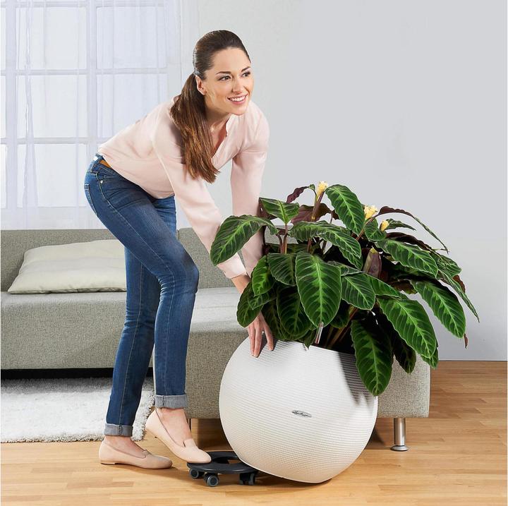 Produktbild Lechuza Rollenuntersetzer