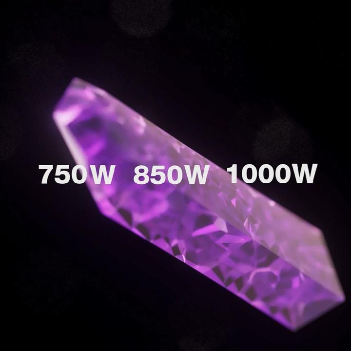 Actual product image be quiet! Dark Power 13 (750 W)