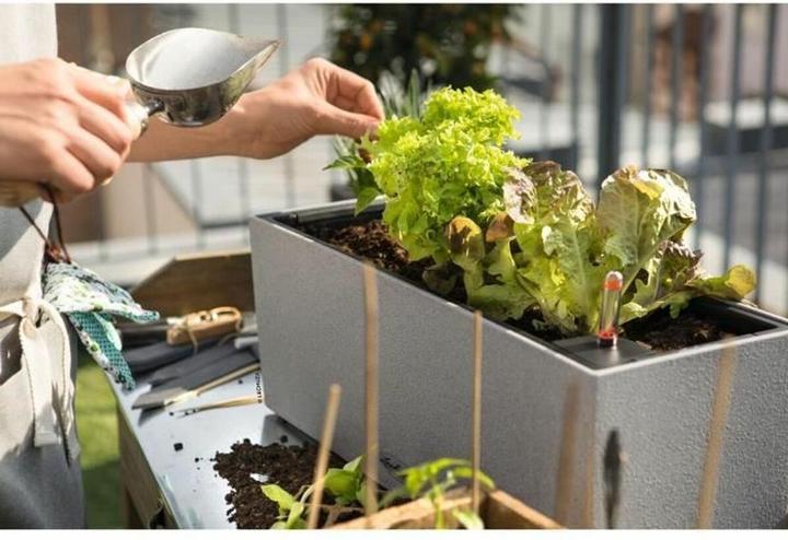 Produktbild Lechuza Balconera Stone (50 x 19 x 19 cm)