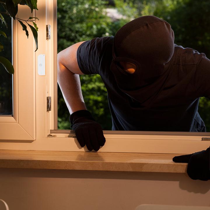 Produktbild Tellur TLL331091 door/window sensor Wireless White