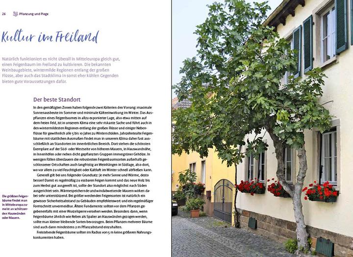 Nutritional values and ingredients Feigen aus dem eigenen Garten (German, Christoph Seiler, 2022)