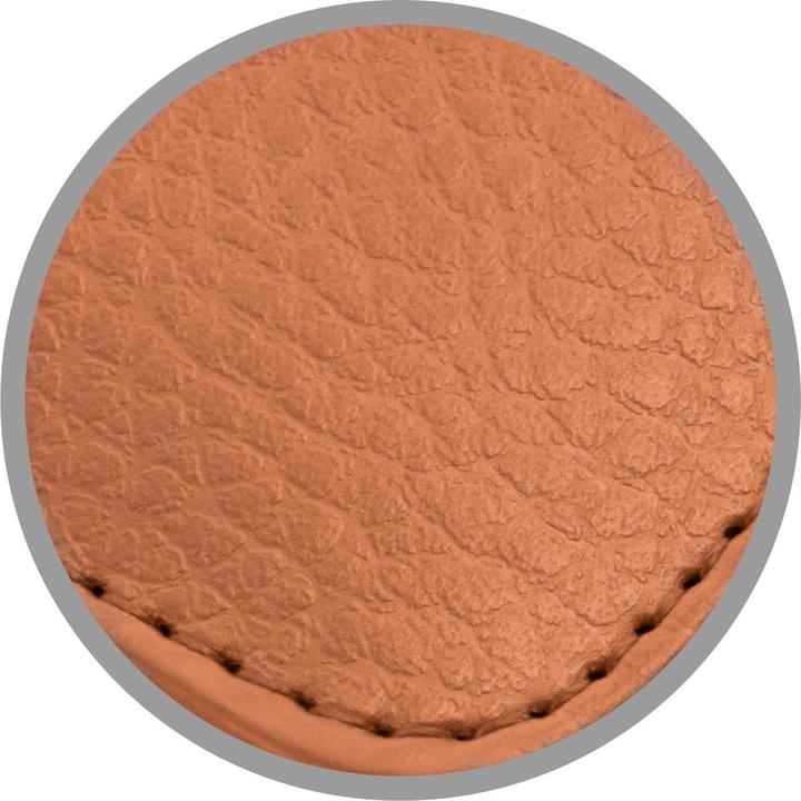 Produktbild Cadorabo 3 Kartenfächer Hülle (Apple iPhone 13 Pro)