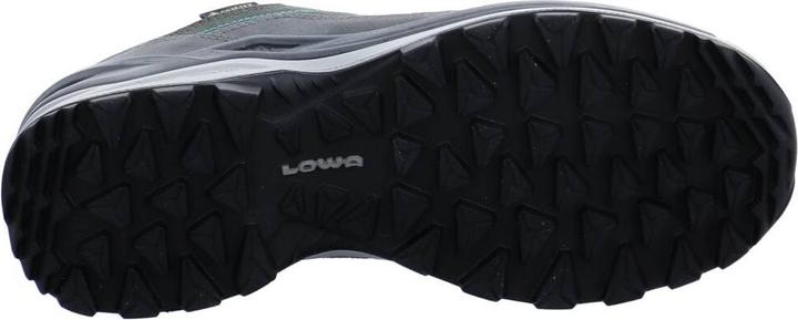 Produktbild Lowa Toro Pro GTX LO (38)