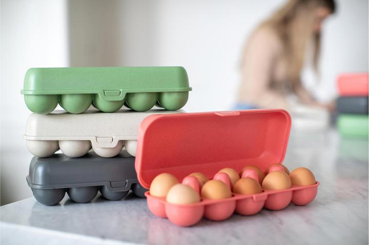 Actual product image Koziol Eggbox To Go (2.37 l)