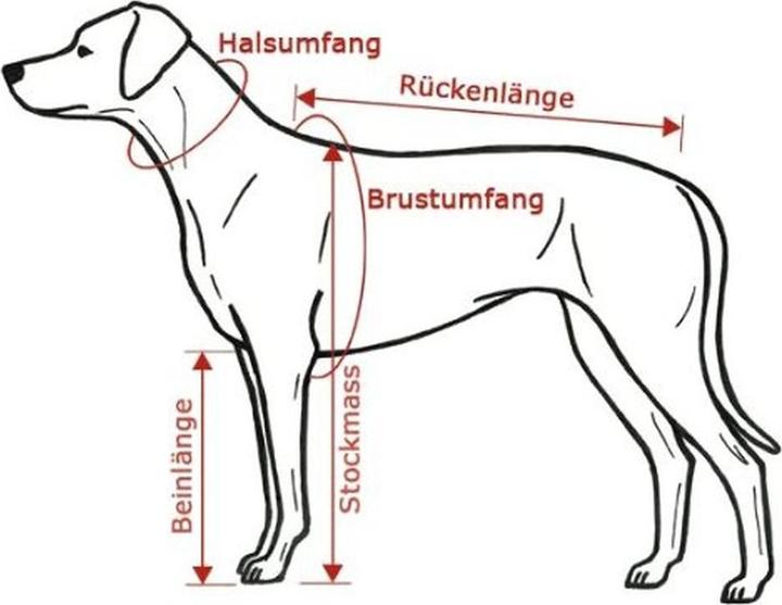 Produktbild Back on Track 70 cm (Hundemantel)