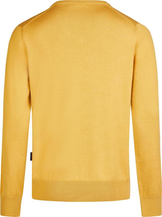 Image du produit Hechter Pull col V (L)