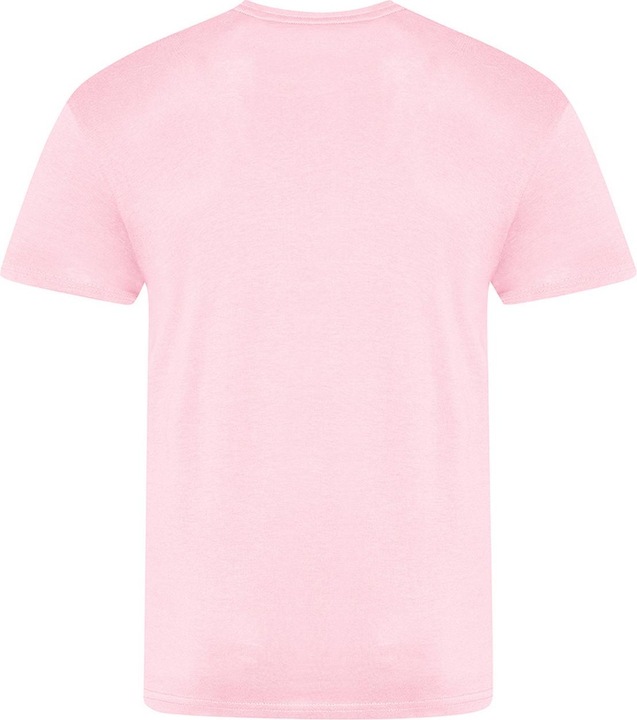Actual product image Awdis The 100 Tshirt (S)