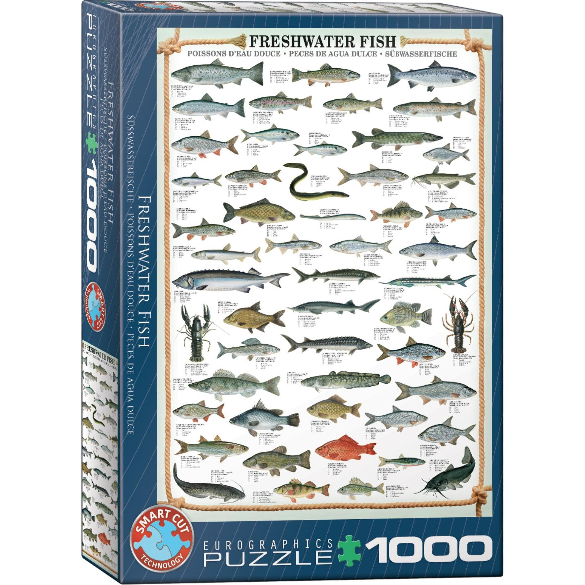 Thumbnail - Eurographics Süsswasserfische (1000 Teile)