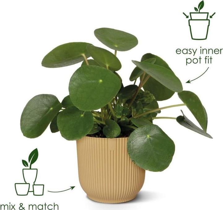 Produktbild Elho Pflanzengefäss Vibes fold ø 22 cm (22 x 20 cm)