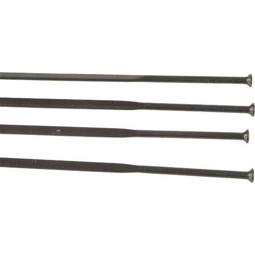 Campagnolo Zonda Ersatzspeichen Modell 2013-2016