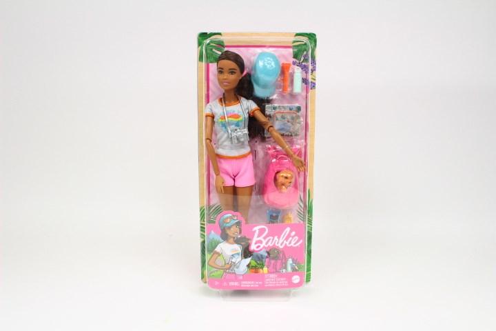 Actual product image Barbie Fashionistas HNC39 doll