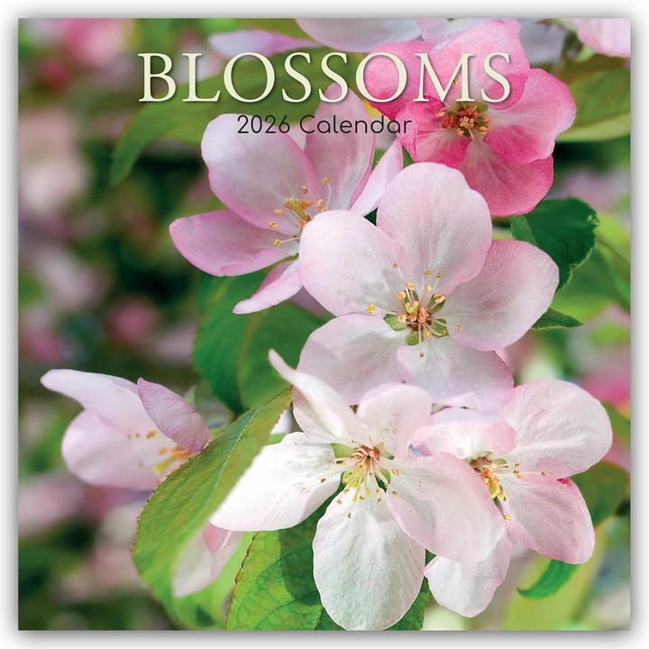 Actual product image The Gifted Stationery Co. Ltd:Blossoms (Special)