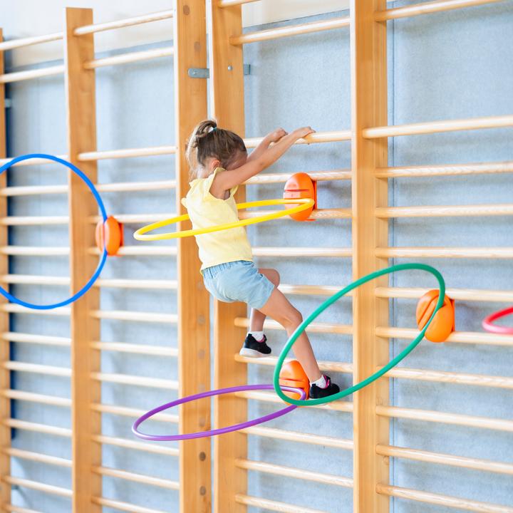 Image du produit Spordas Porte-pneus pour espaliers WalliBari