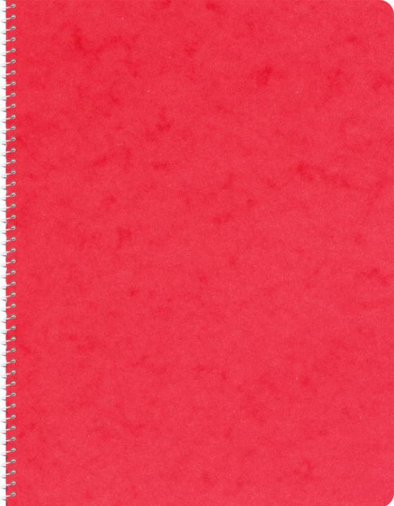 Produktbild Novooo Spiralheft assortiert (E5, Kariert, Weicher Einband)