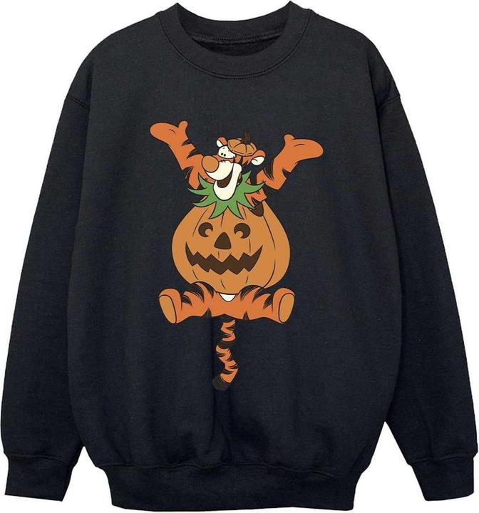 Produktbild Winnie the Pooh Sweatshirt Jungen (152, 158)