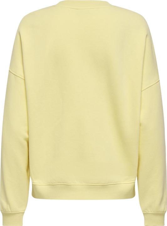 Actual product image JdY Jdymesa L/S O-Neck Emb Sweat Jrs Noos (XL)