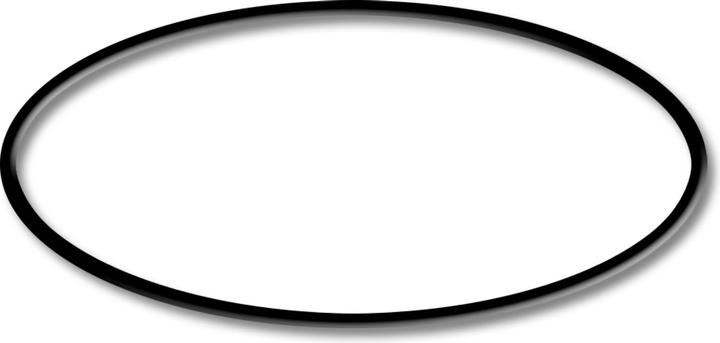 Actual product image SunSun Spare Part: CPF-280 / CPF-380 / CPF-500 Pressure Pond Filter O-Ring 1