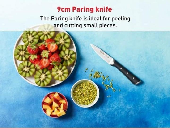 Actual product image Tefal Ingenio Ice Force paring knife (9 cm)