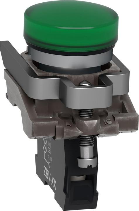 Image du produit Schneider Electric Voyant lumineux 1pc