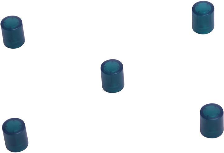 Image du produit Supermagnete Plots magnétiques cylindriques, vert transparent (5 x)