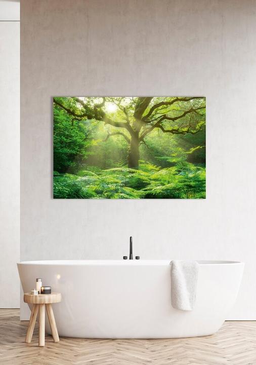 Produktbild Schubiger Baum im Wald (120 x 80 cm)