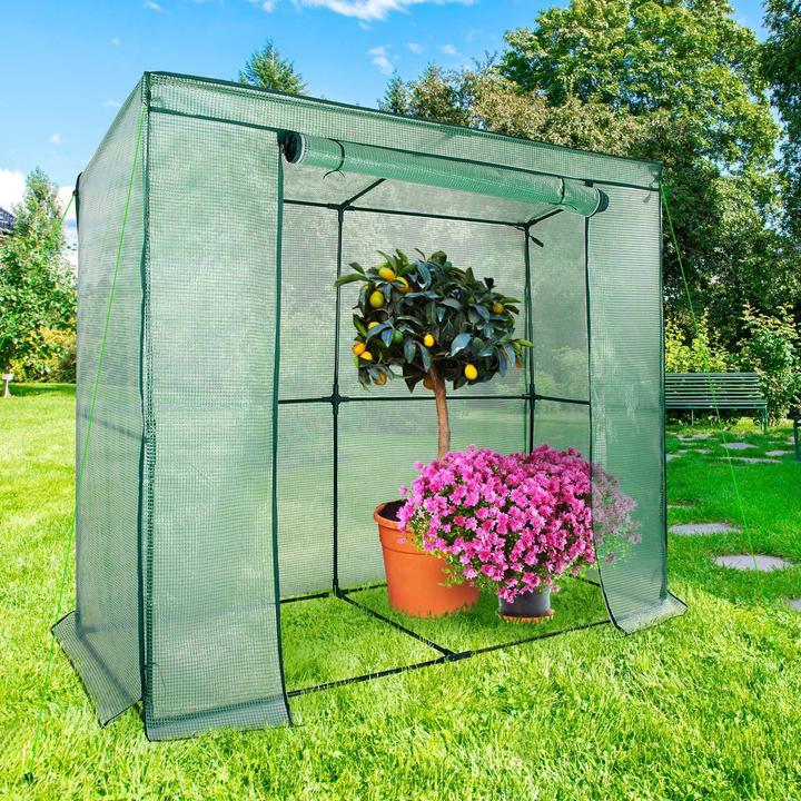 Actual product image Casa Pura Botanica