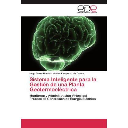 Sistema Inteligente para la Gestión de una Planta Geotermoeléctrica, Fachbücher von Luis Ochoa, Nicolas Kemper, Hugo Flo...