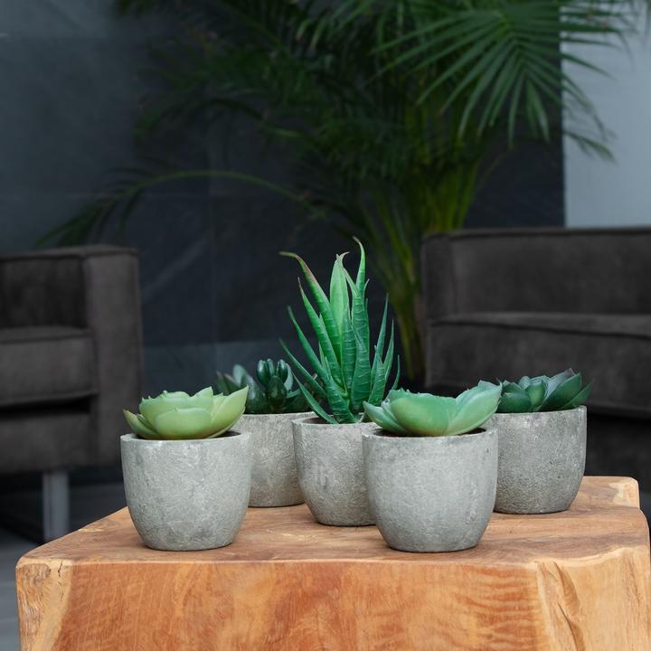 Actual product image Intirilife Artificial plant set (15 cm)