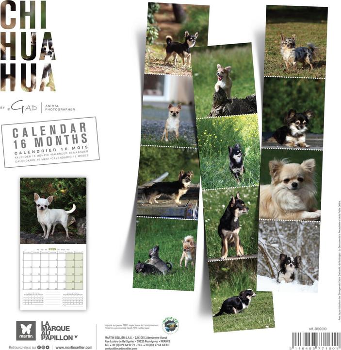 Produktbild Martin Sellier Chihuahua