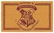 Actual product image SD Toys HARRY POTTER - Welcome to Hogwarts - Paillasson '60x40x2cm (60 x 40 x 2 cm)
